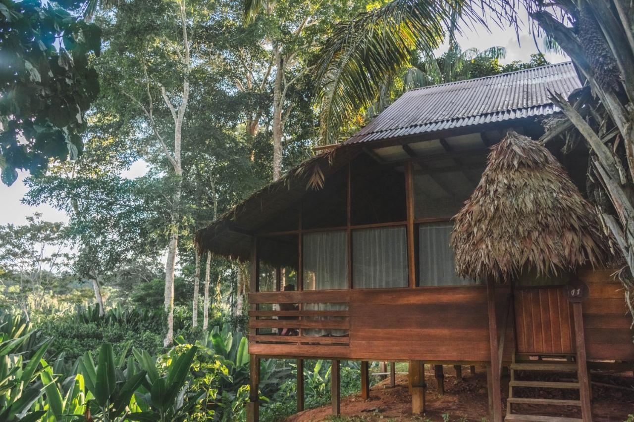 Wasai Tambopata Lodge المظهر الخارجي الصورة