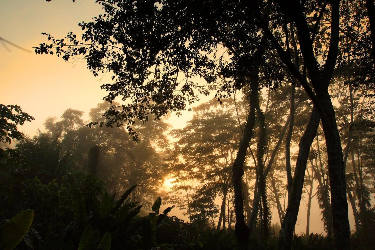 Wasai Tambopata Lodge المظهر الخارجي الصورة